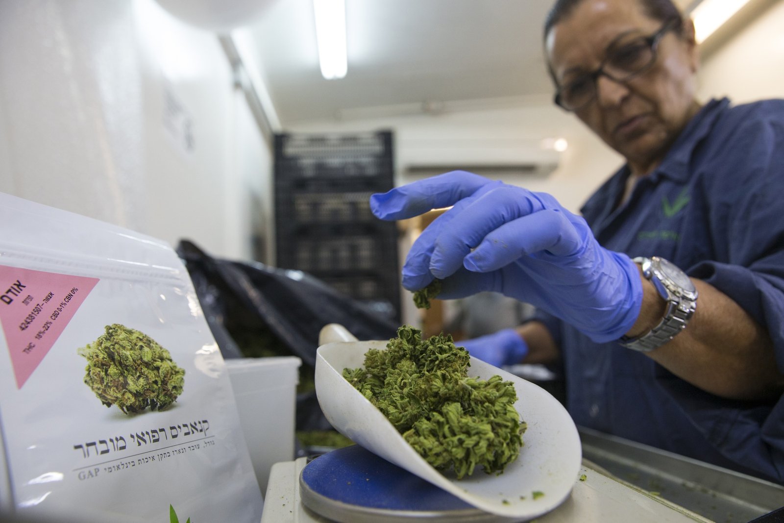 Where to buy weed in Dubai