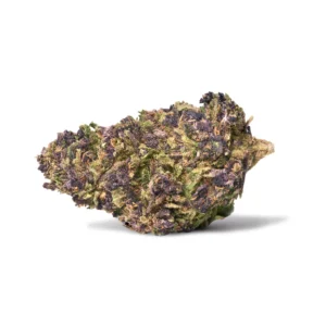 Buy Purple Haze Weed in Dubai